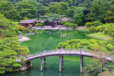 japanese garden